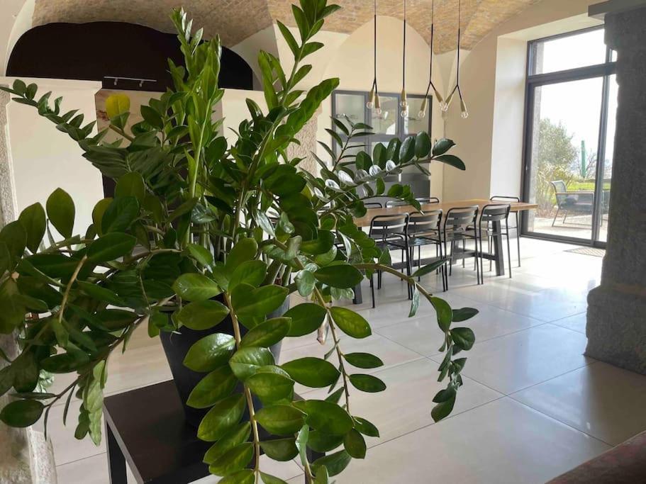 Ancien Domaine De Chartreux Avec Jacuzzi Villa *